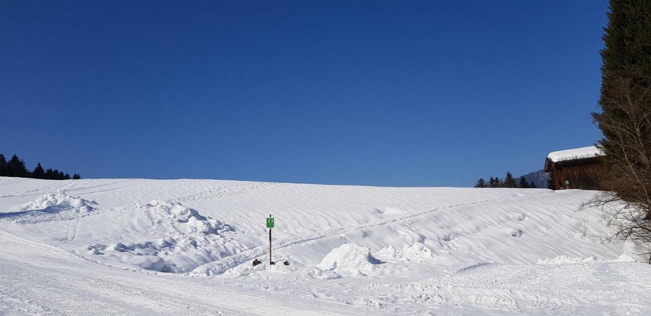 Zum Alten Forsthaus Reit im Winkl Esterno foto