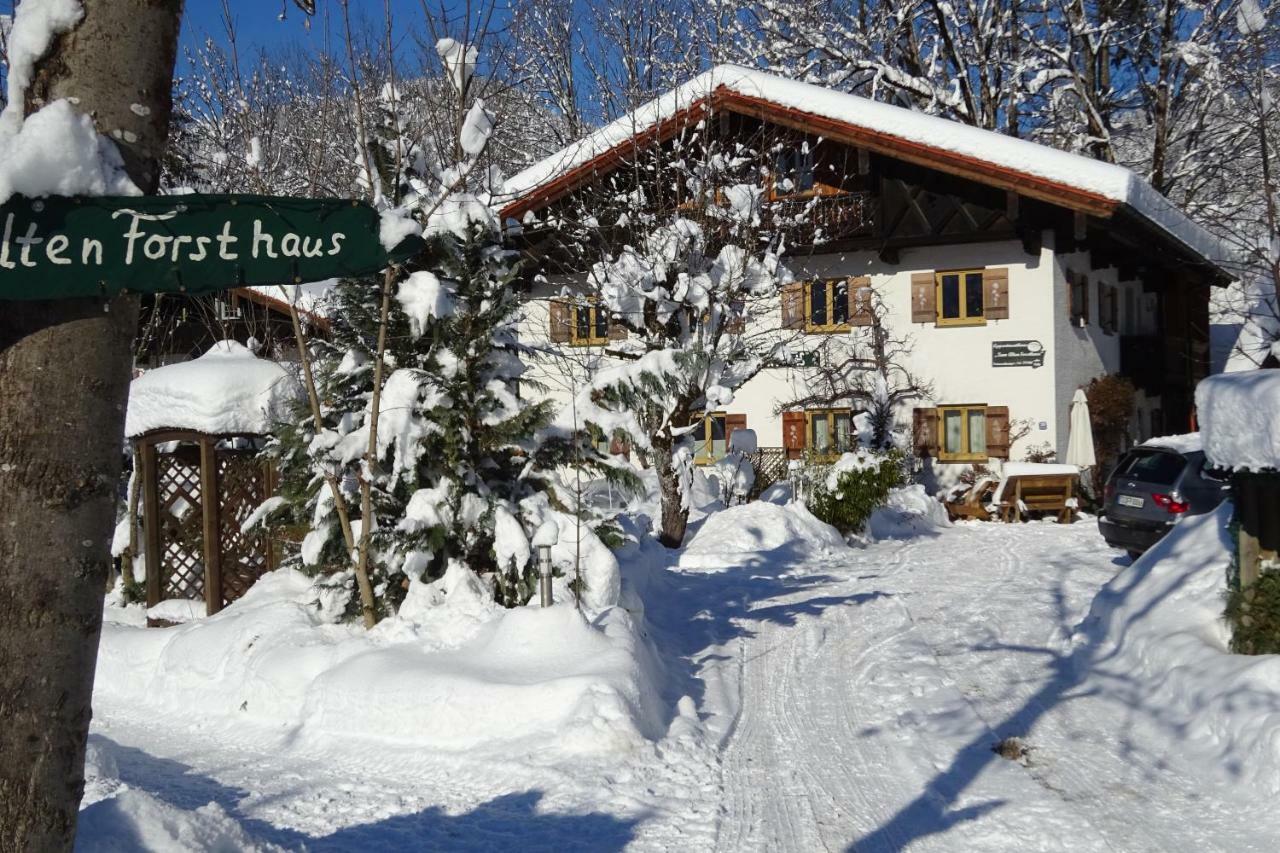 Zum Alten Forsthaus Reit im Winkl Esterno foto